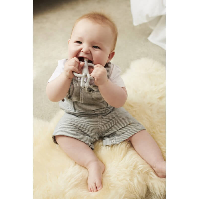 Matchstick Monkey 原廠磨牙玩具及凝膠塗抹器 - 冷灰色