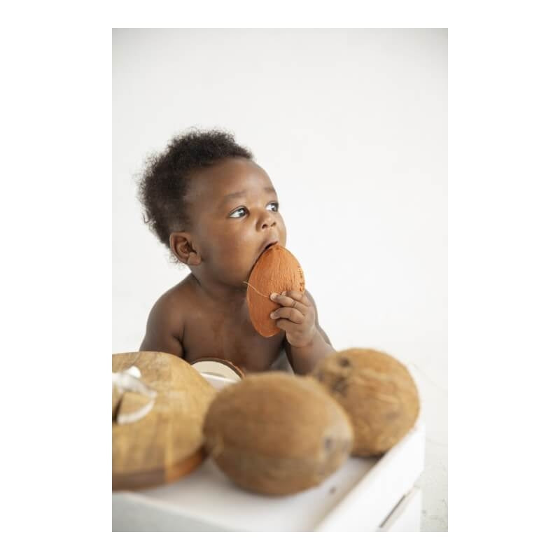 Oli&Carol 磨牙洗澡玩具 - 水果蔬菜系列 - 椰子可可