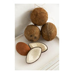 Oli&Carol Teether & Bath Toy - Fruits & Veggies - Coco the Coconut