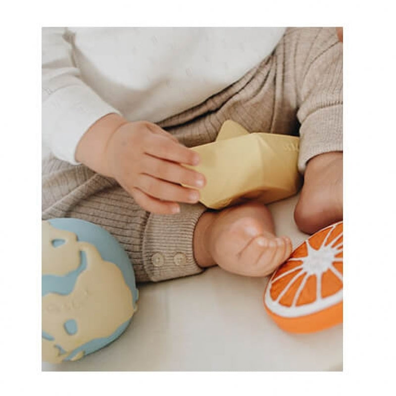 Oli&Carol Teether & Bath Toy - Earthy the World Ball