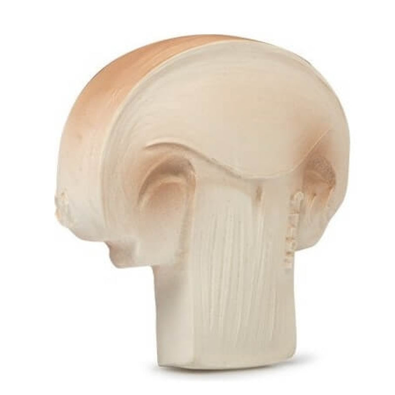 Oli&Carol Teether & Bath Toy - Fruits & Veggies - Manolo the Mushroom