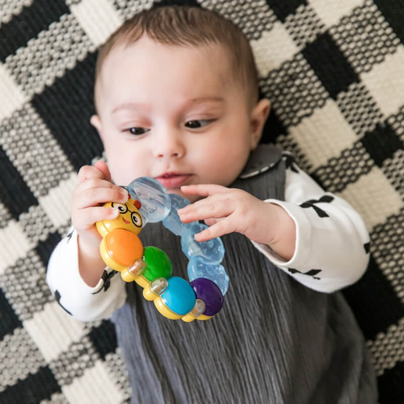 Baby Einstein™ Teether-Pillar™ Rattle Toy