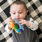 Baby Einstein™ Teether-Pillar™ Rattle Toy