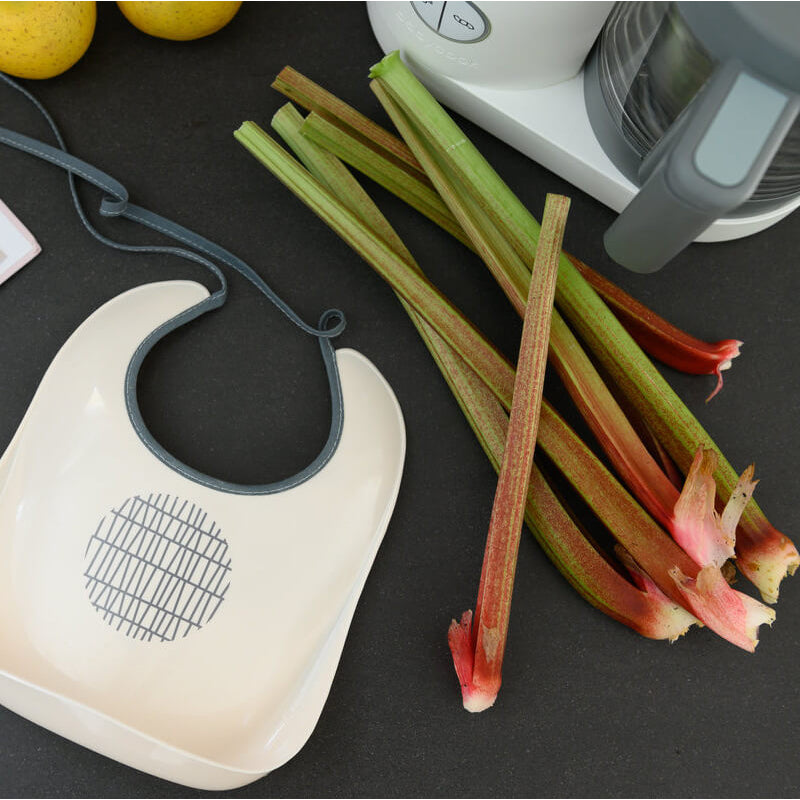 Beaba Training Bib with Crumb Catcher - Pink Grid