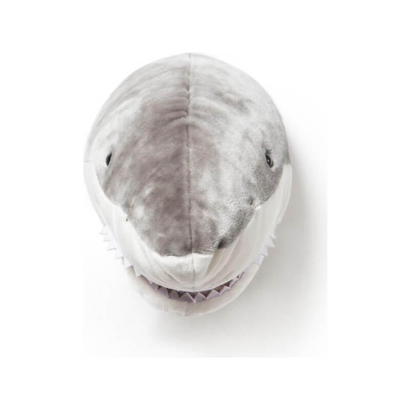 野生軟質獎盃動物頭 - 傑克鯊魚