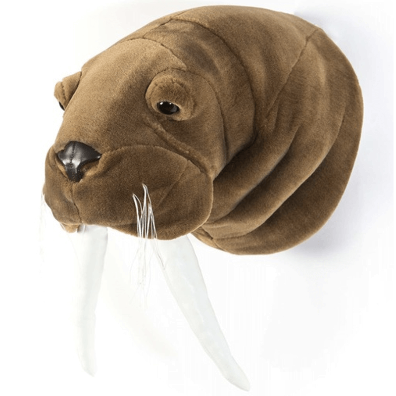 Wild & Soft Trophy Animal Head - Jacob the Walrus