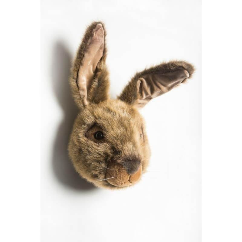 Wild & Soft Trophy Animal Head - Lewis the Hare