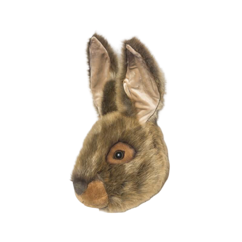 野生與柔軟的獎盃動物頭－野兔路易斯