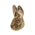 野生與柔軟的獎盃動物頭－野兔路易斯