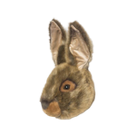 Wild & Soft Trophy Animal Head - Lewis the Hare