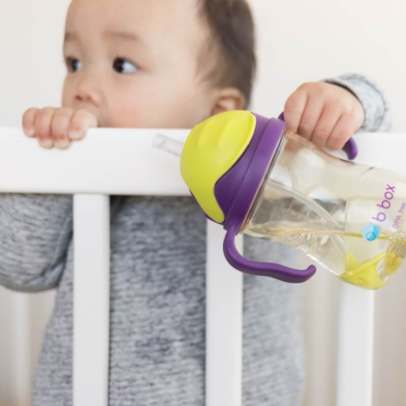 b.box PPSU Sippy Cup - 240mls