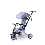 Micro Scooter Tricycle
