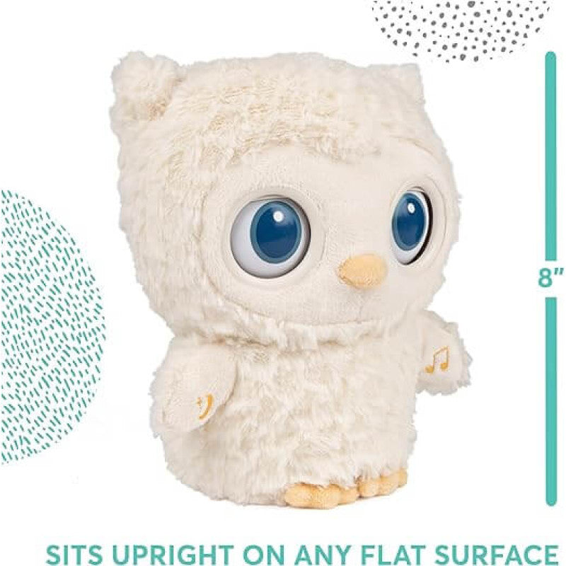Gund 動畫瞌睡貓頭鷹 30厘米