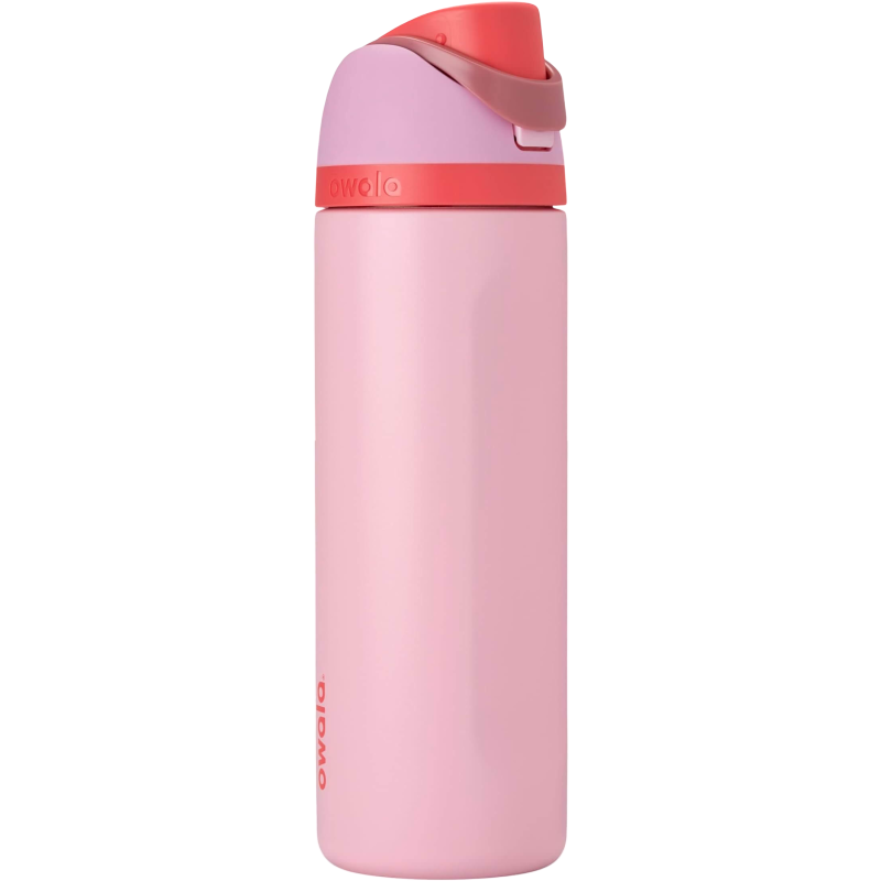 Owala FreeSip¬Æ Stainless Steel Insulated Bottle 24oz/700ml