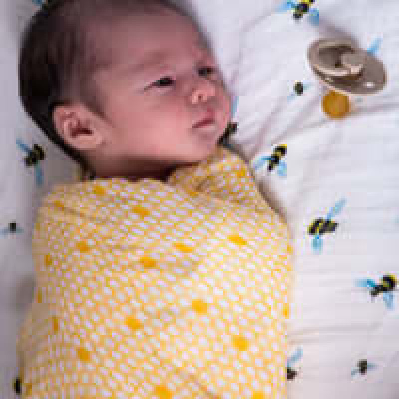 Malabar Baby Organic Muslin Swaddle 2-Pack - Busy Bees