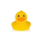 b&h PVC Bath and Room thermometer (Duck)