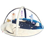 Skip Hop Celestial Dreams Activity Gym