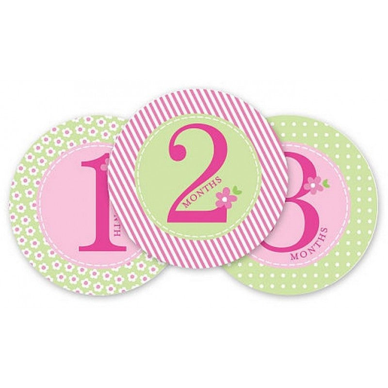 Pearhead First Year Belly Stickers - Pink