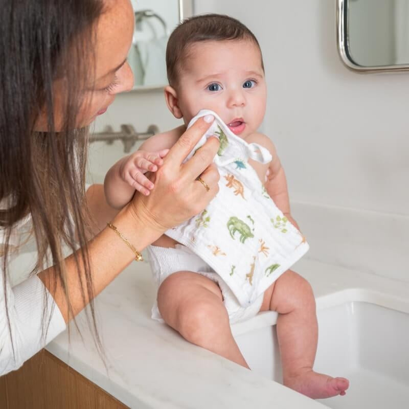 aden + anais Washcloth Set 3-Pack - Dino Jungle