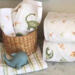 aden + anais Washcloth Set 3-Pack - Dino Jungle