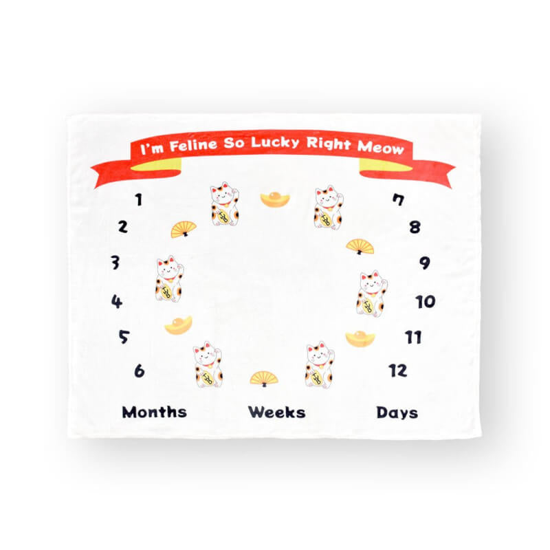 The Wee Bean Welcome Home Baby Gift Set - Fortune Cat Maneki Neko Collection