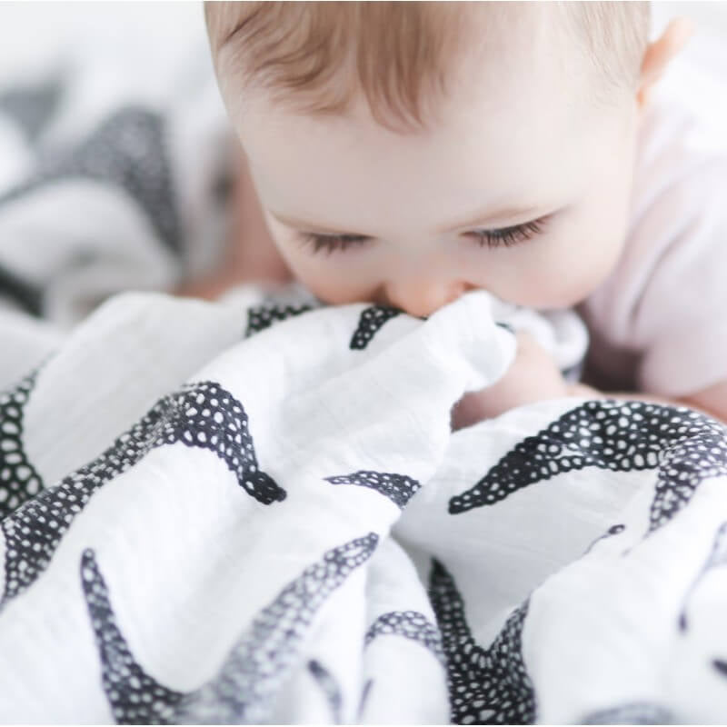 Etta Loves XL Sensory Muslin Swaddle - Starfish