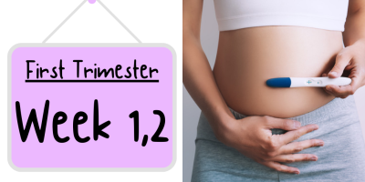 Pregnancy Week by Week: Week 1 and 2