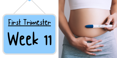 Pregnancy Week by Week: Week 11