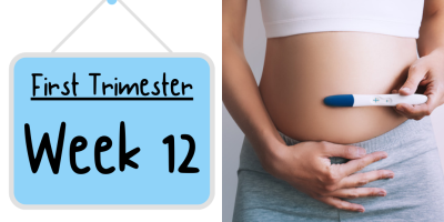 Pregnancy Week by Week: Week 12