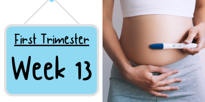 Pregnancy Week by Week: Week 13