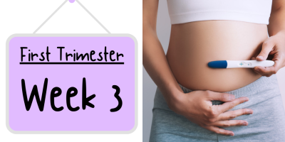 Pregnancy Week by Week: Week 3