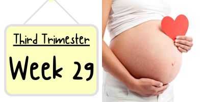 Pregnancy Week by Week: Week 29