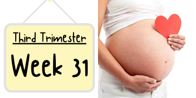 Pregnancy Week by Week: Week 31