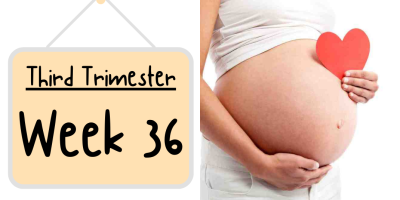 Pregnancy Week by Week: Week 36