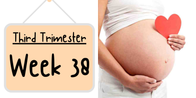 Pregnancy Week by Week: Week 38