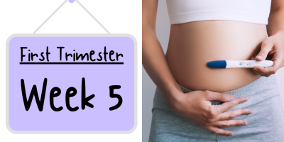 Pregnancy Week by Week: Week 5