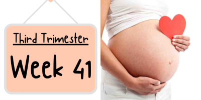 Pregnancy Week by Week: Week 41