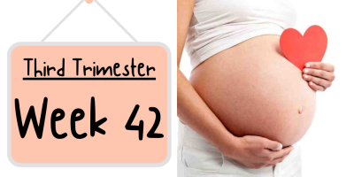 Pregnancy Week by Week: Week 42