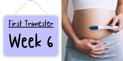 Pregnancy Week by Week: Week 6