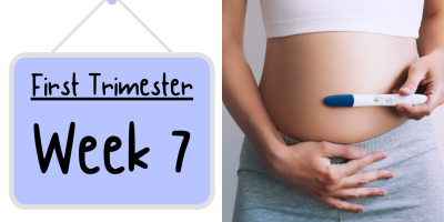 Pregnancy Week by Week: Week 7