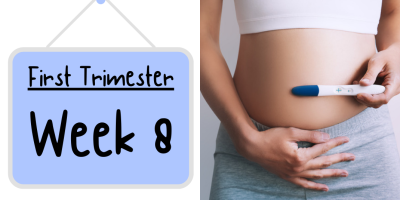 Pregnancy Week by Week: Week 8