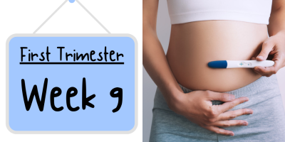 Pregnancy Week by Week: Week 9