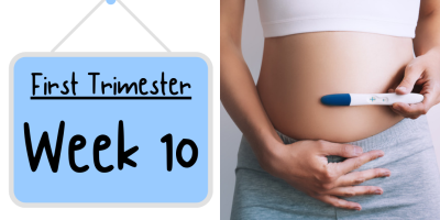 Pregnancy Week by Week: Week 10