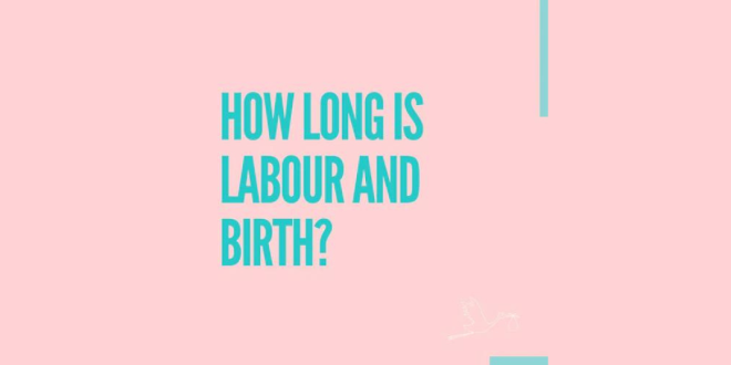 How long is labour & birth?