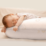 Babyworks Feeding Pillow with Bamboo Pillowcase