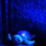 Cloud B Light + Sounds - Tranquil Turtle - Aqua