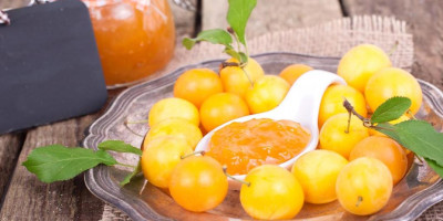Babycook Recipes: Mirabelle Plums